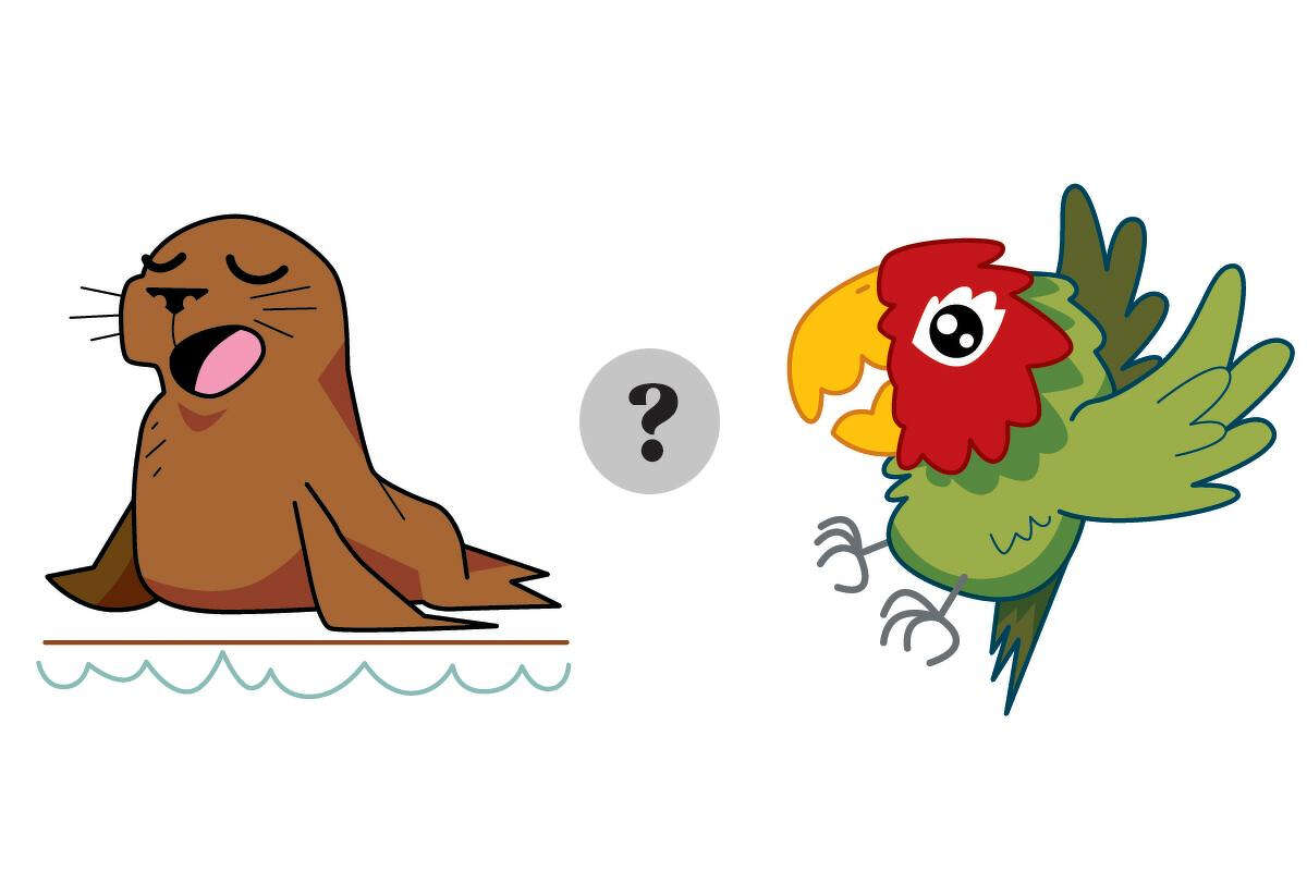 Parrots vs. sea lions: Battle for the Official Animal of San Francisco