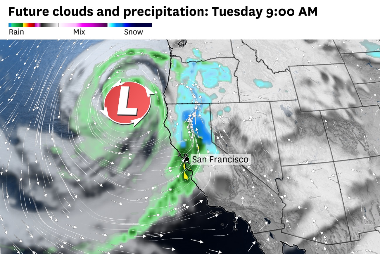 Bay Area teed up for new lashing by rain and wind - Vimarsana News