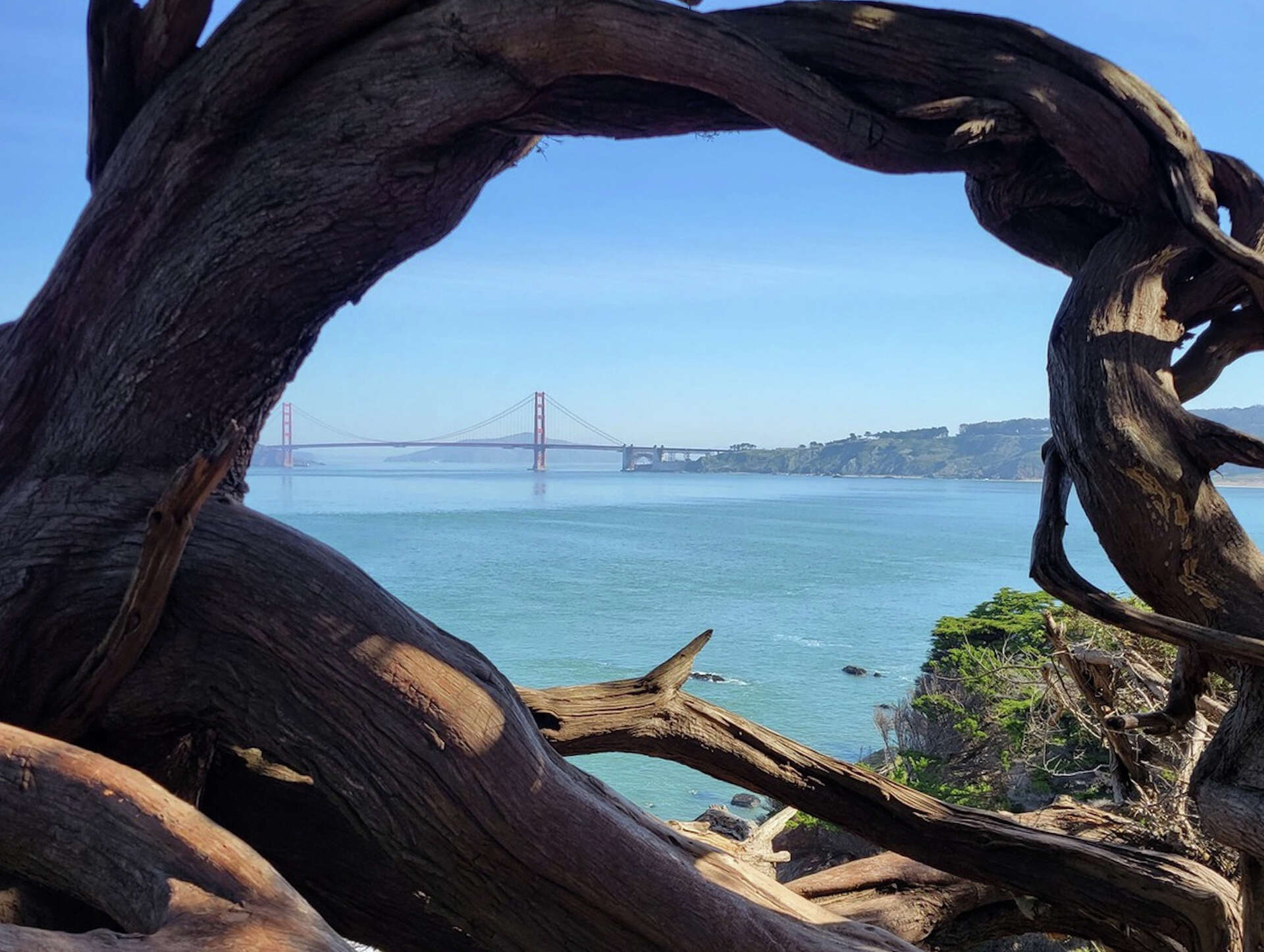 Lands End Trail An insider's guide to the popular SF trail