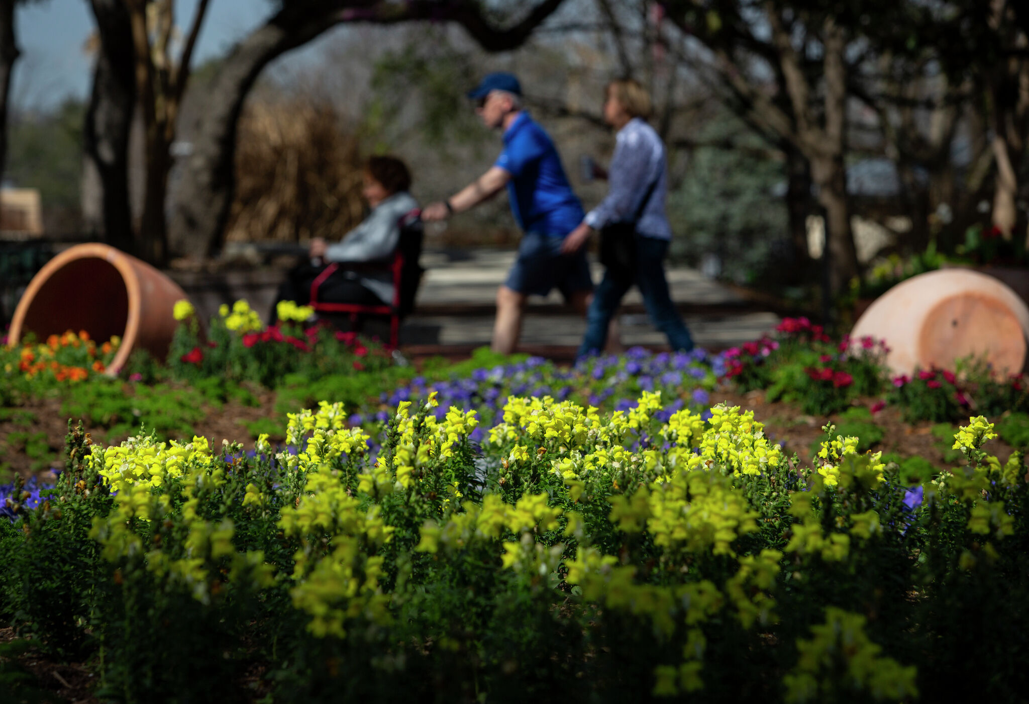 San Antonio Business Closures Cold Weather Challenges Economic Landscape