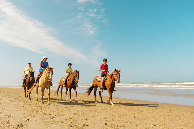 The 10 very best things to do on South Padre Island, Texas