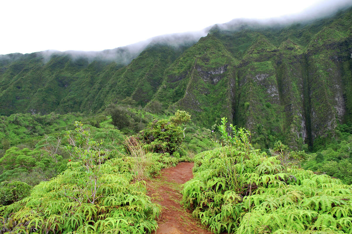 Hiker survives 100foot fall on 'dangerous' Hawaii trail