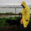 2023年3月28日星期二，萨尔瓦多·阿瓦洛斯在伯克利码头的小路上遛狗，暴风雨给加州伯克利带来了大雨和强风。