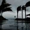 2023年3月28日星期二，一场暴风雨给加州埃默里维尔带来暴雨和强风，棕榈树被吹向埃默里维尔码头。