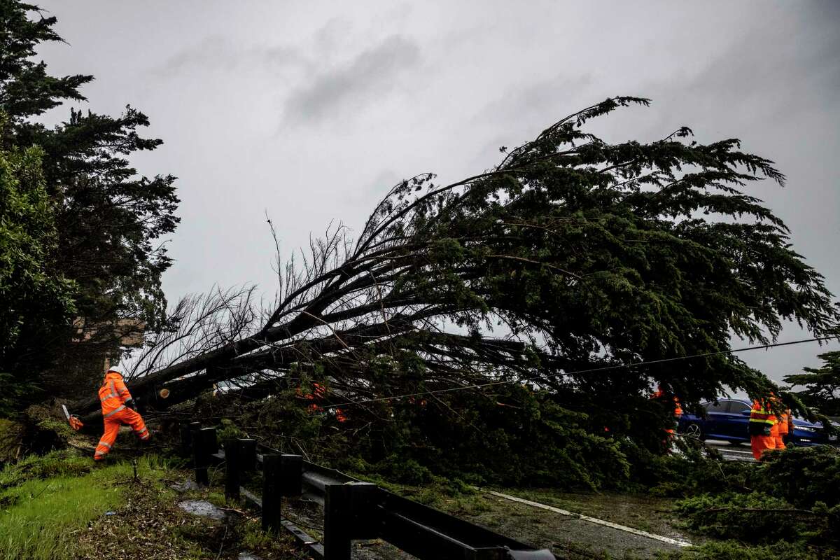 Bay Area weather Winds peaked at 81 mph in storm