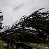 2023年3月28日星期二，在加利福尼亚州南旧金山的一场暴风雨中，加州运输工人在280号州际公路沿线拆除一棵散落在多条车道上的倒下的树。