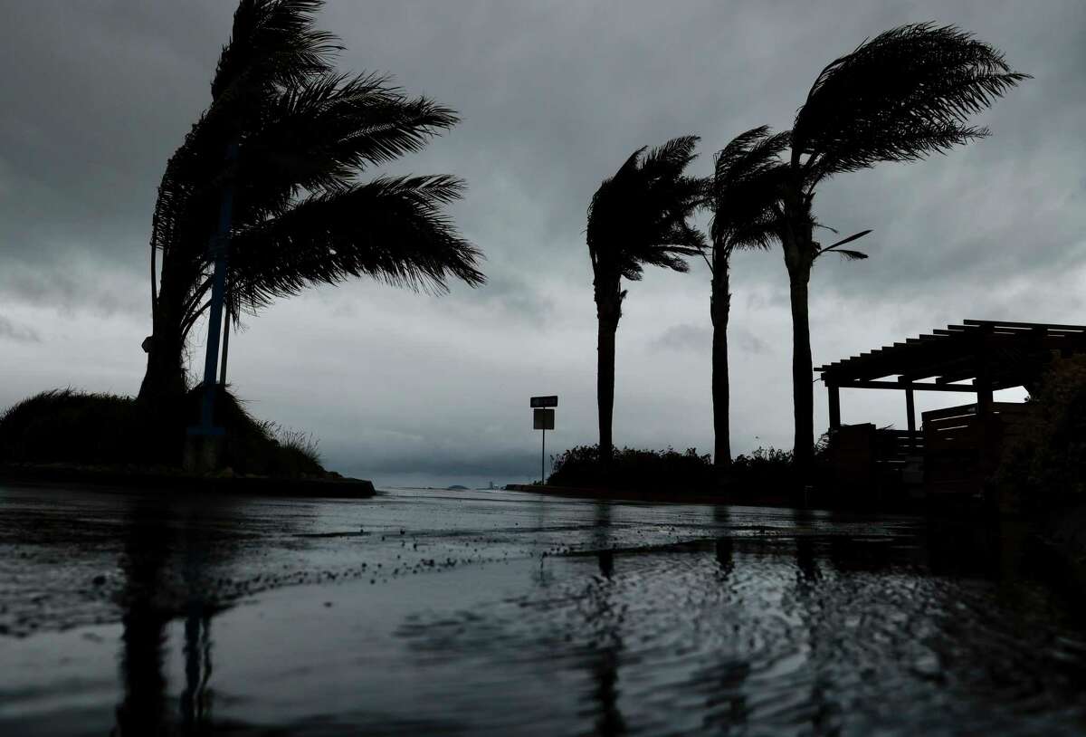 周二，一场暴风雨带来了暴雨和强风，埃默里维尔码头的棕榈树被吹向一边。