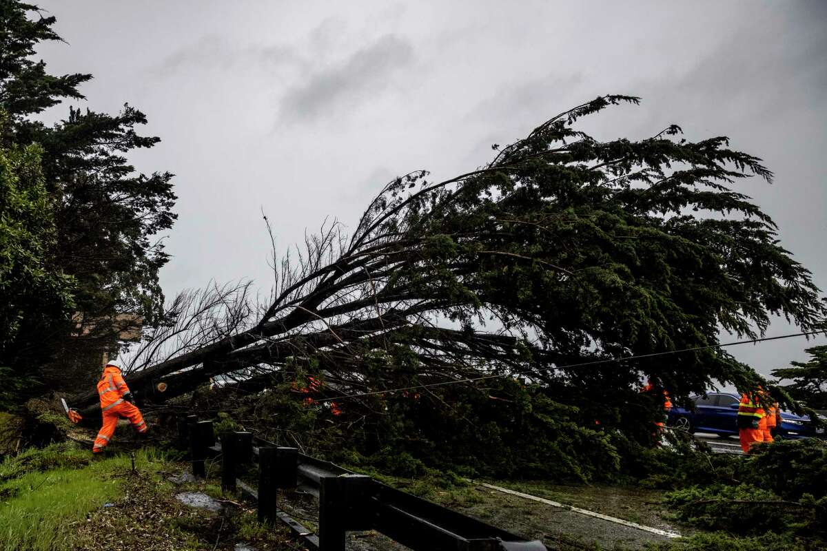在周二的风暴中，加州运输局的工作人员正在拆除一棵倒下的树，这棵树散落在旧金山南部280号州际公路的多条车道上。