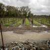A stream of water flows between Mark West Station Road and a vineyard in Windsor, Calif. on Tuesday, March 28, 2023 after another round of heavy rains brought flooding to Sonoma County.
