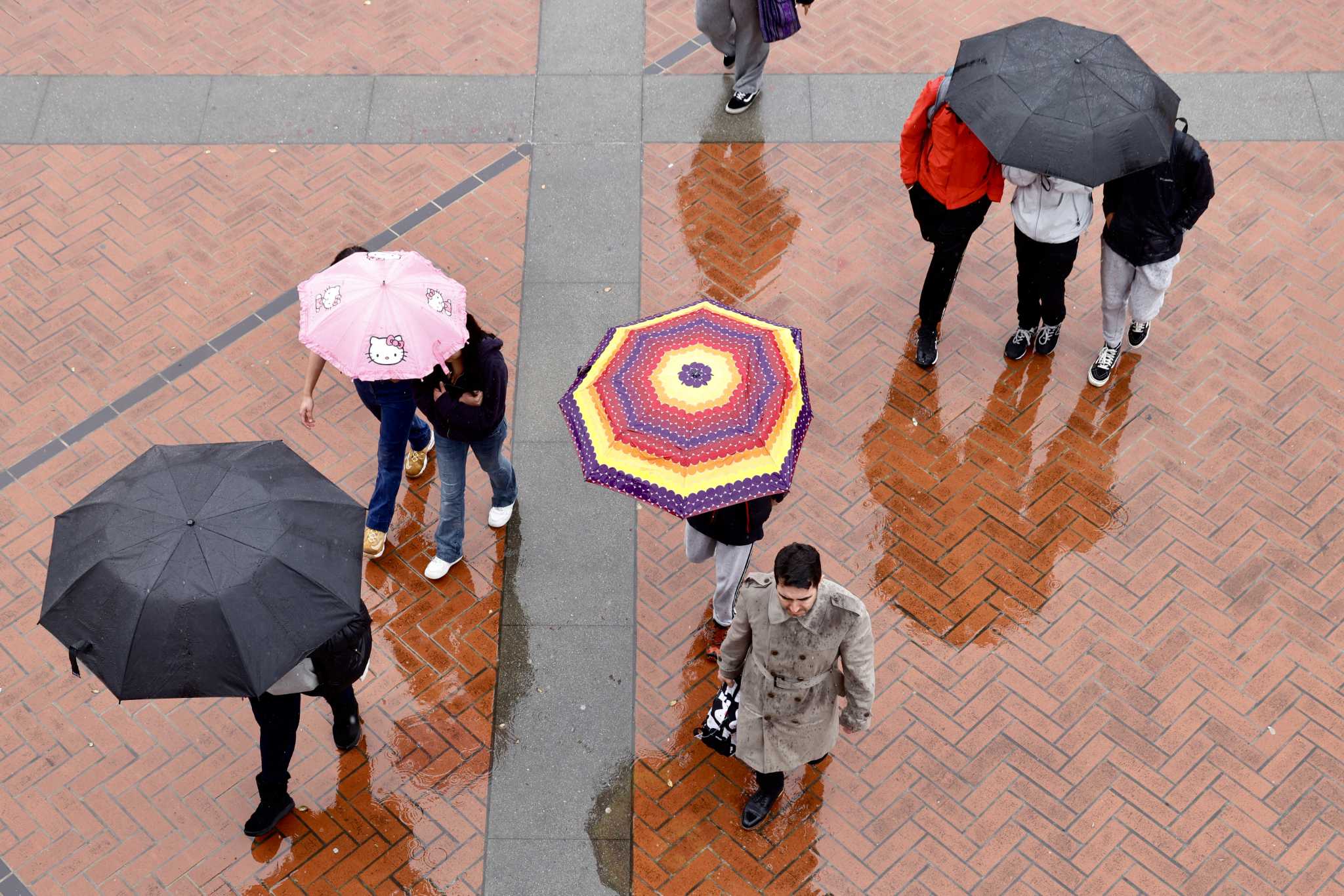 bay-area-weather-winds-peaked-at-81-mph-in-storm