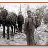 Joe Lett's Bundy Hill Lumber Camp, circa 1900. Pictured is Dick Sleet, holding the horses, and George Norman, forebear to Carol Norman, standing to his left.