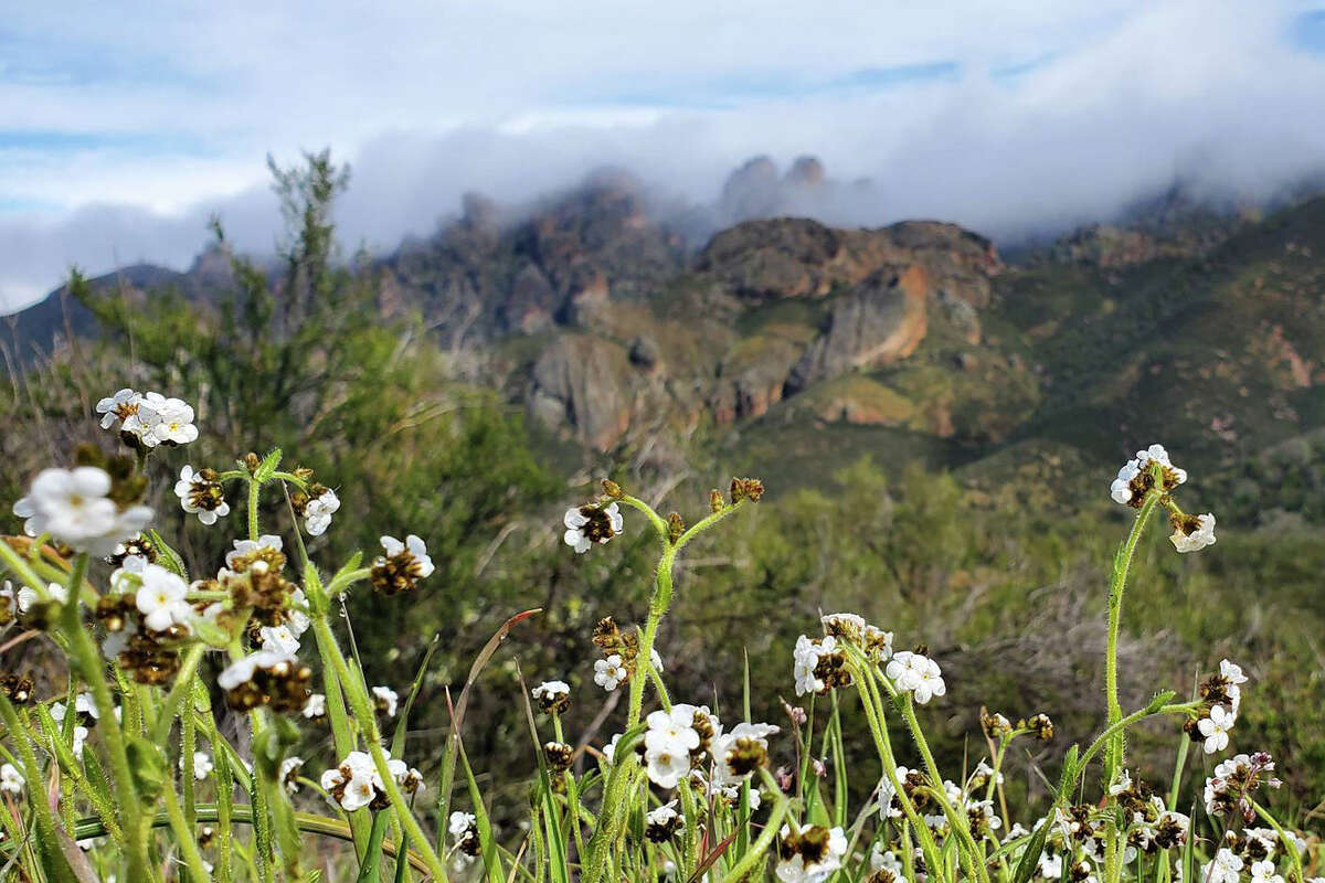 While Pinnacles has been a national monument since 1908, it wasn’t formally designated a national park until President Barack Obama signed legislation in 2013.