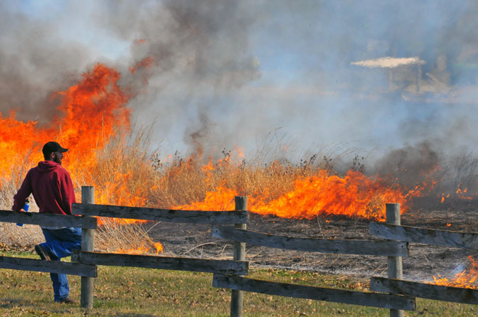 Why April showers could bring May fires to California