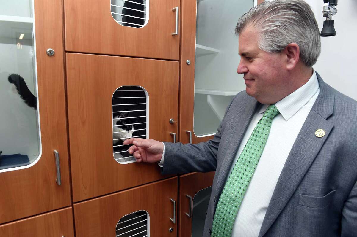New 4.8M Dan Cosgrove Animal Shelter in Branford opens
