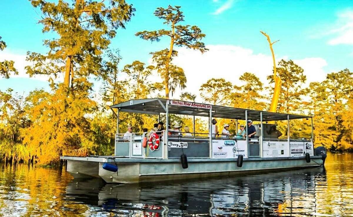 Ivory Bill floating on the Neches River at the Big Thicket National Preserve