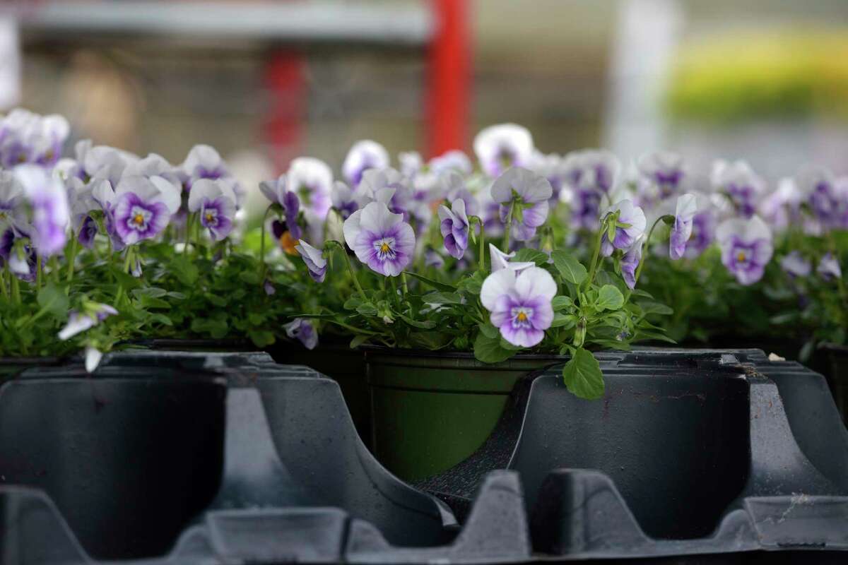 Stew Leonard's Norwalk store debuts new garden center