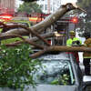 San Francisco firefighters prepare to remove a large tree branch that fell onto a parked car due to high winds on Jan. 10, 2023 in San Francisco. Fallen tree limbs are a possible hazard as increasingly gusty winds impact the region this week. 