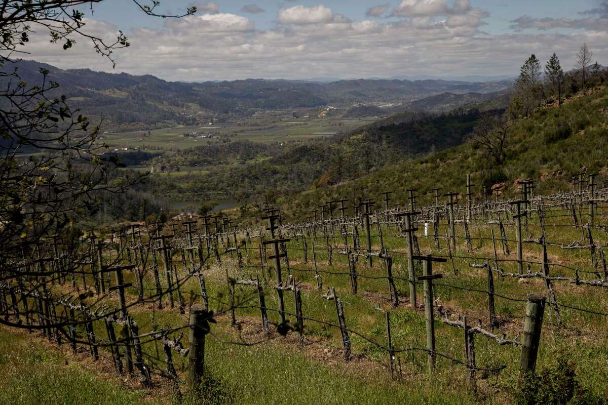 Crystal Springs could become Napa Valley's newest official wine region