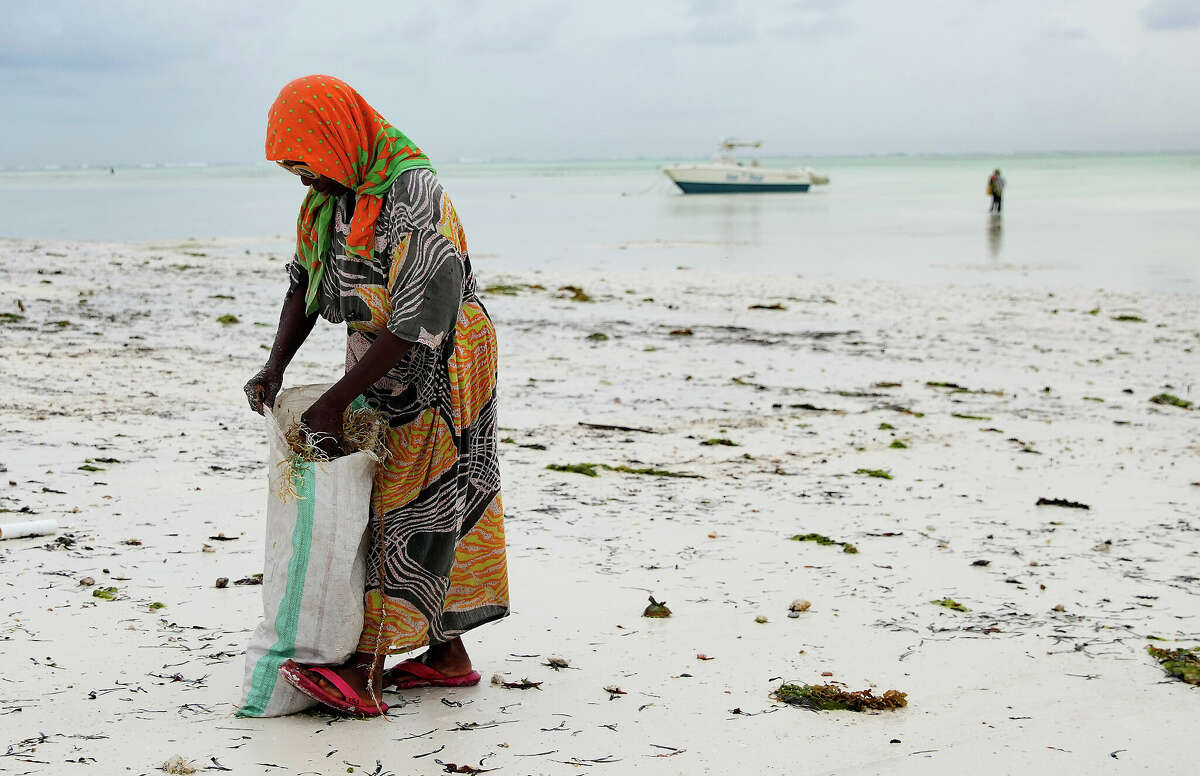 Exploring Zanzibar