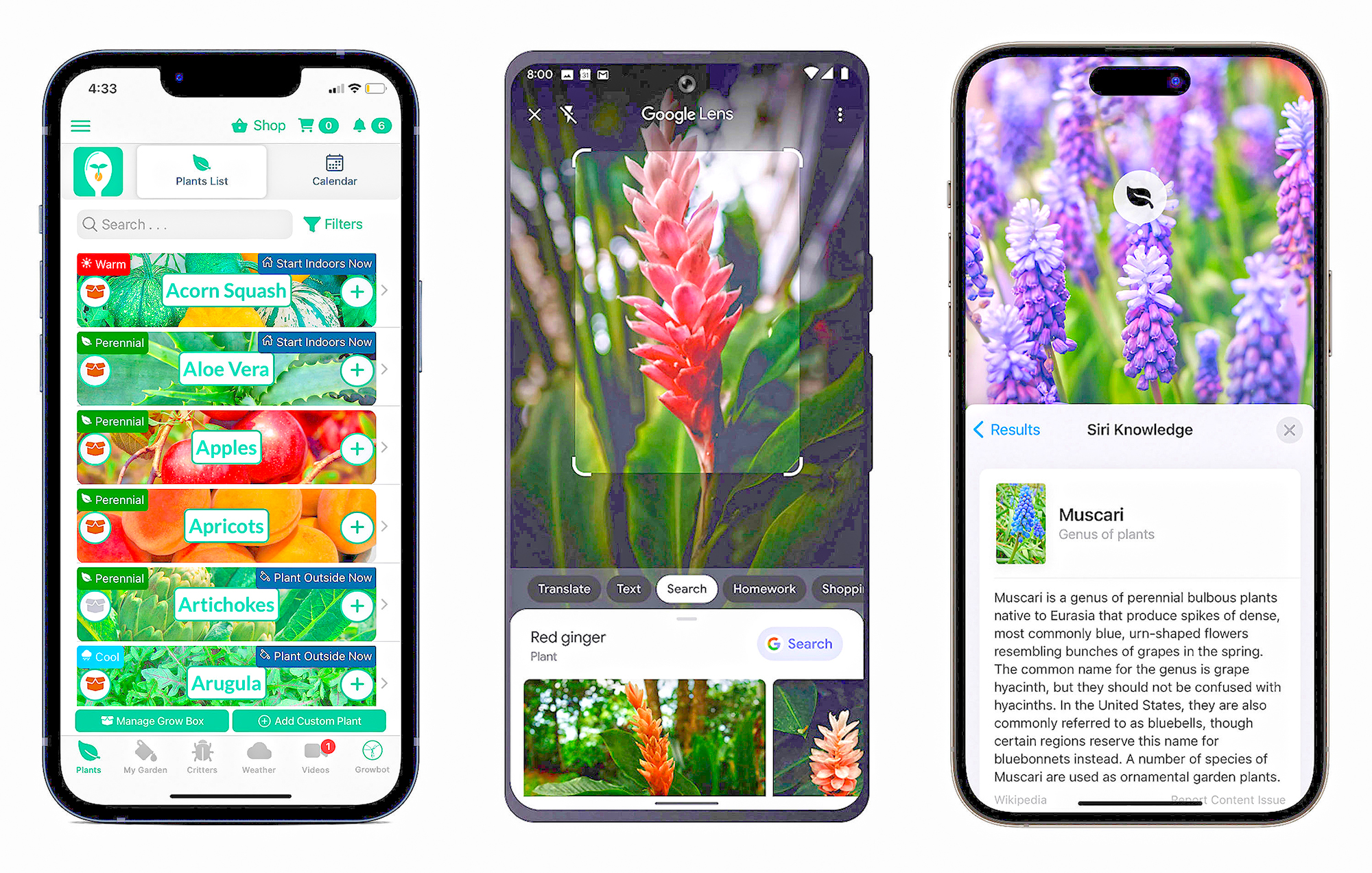 Apps put gardening in the palm of your hand - Vimarsana News