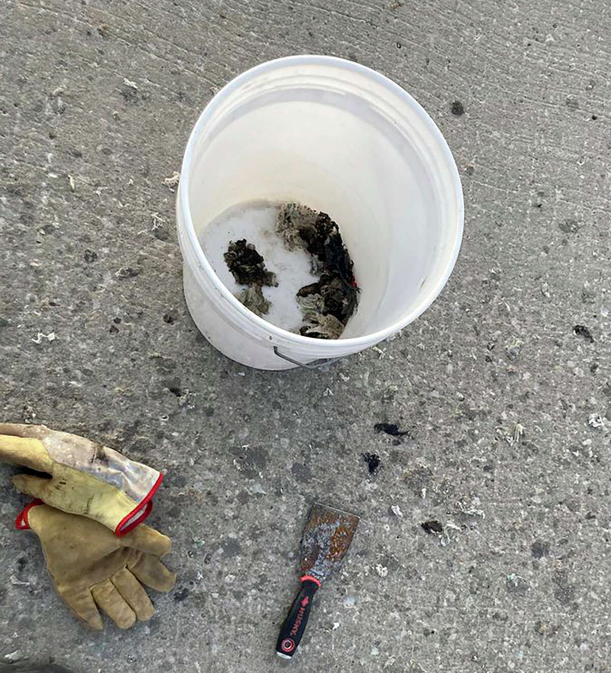 Roxana Landfill cleanup moves at 'glacial' pace, nearby resident says