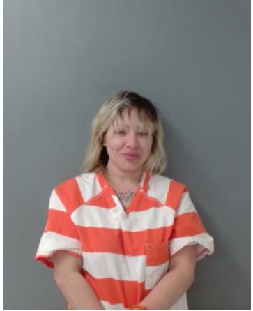 Alleged drunk driver crashed into USBP processing center - Vimarsana News