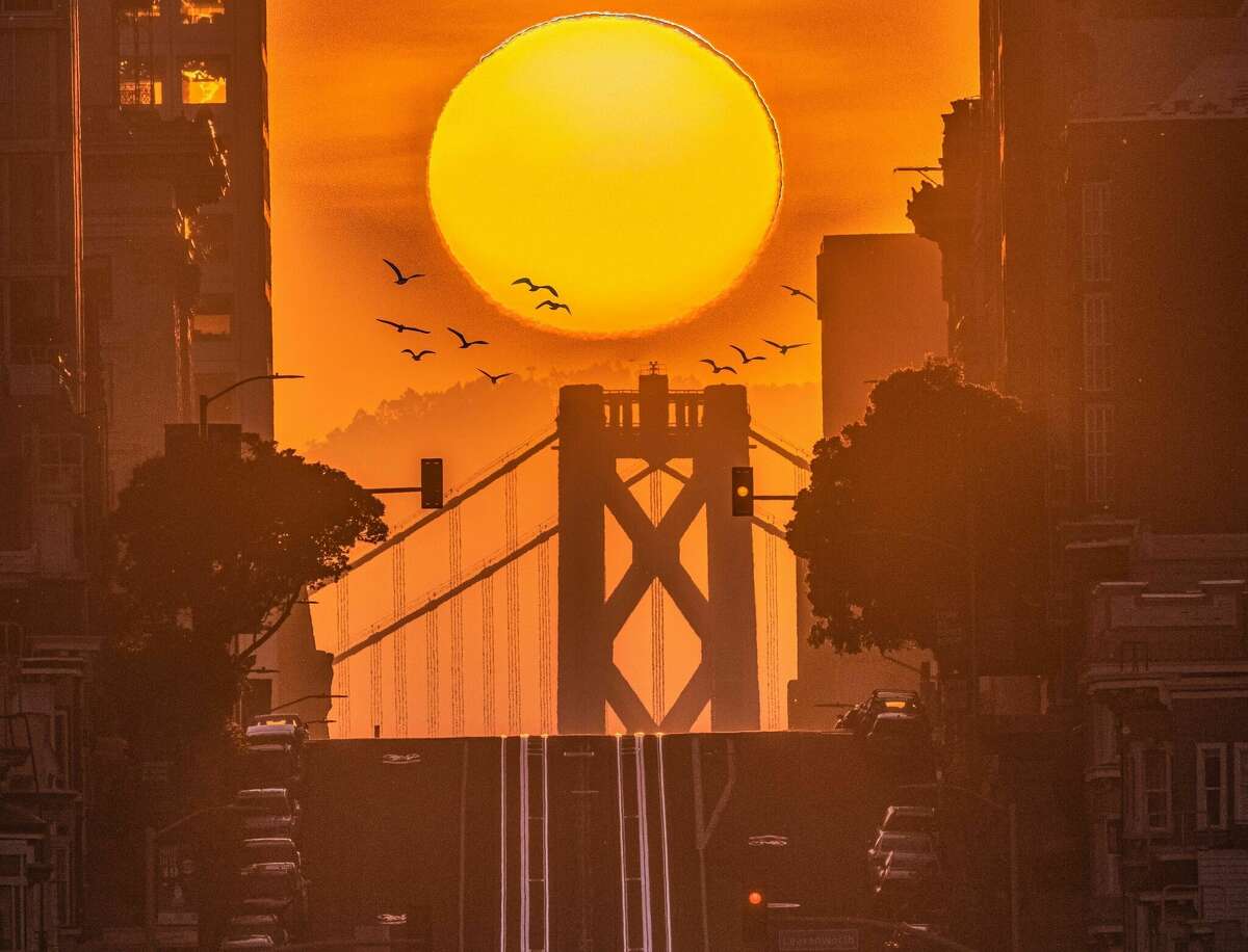 Central Sunset San Francisco: A Neighborhood Rich in History and ...