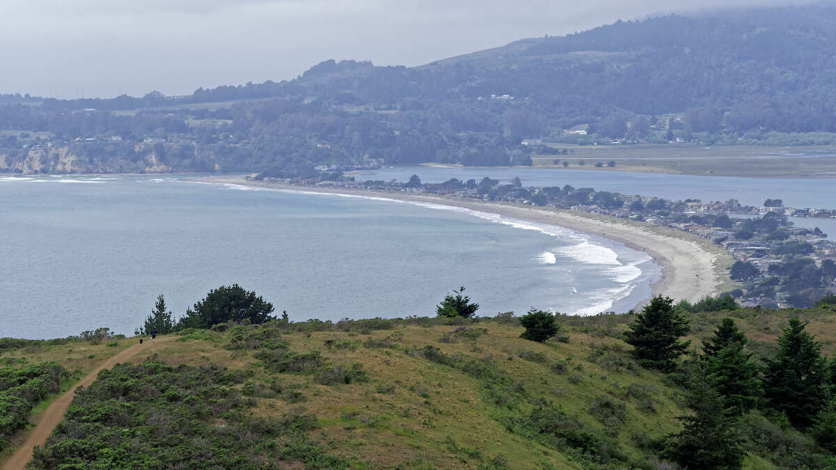 Dipsea Trail All to know about this famous Bay Area trail