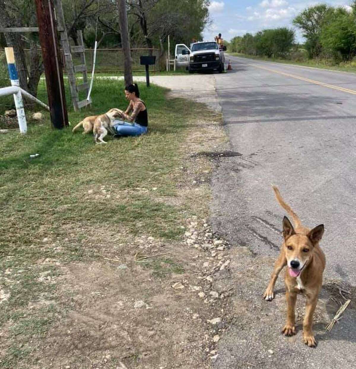 San Antonio resident Jenna Loos uses TikTok to rescue dogs and bring awareness to pet issues in the Alamo City.