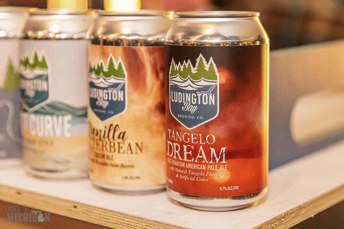 Brewsology Beer Festival at the Michigan Science Center