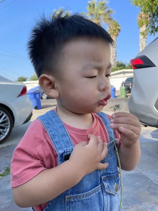 Alameda County D.A. reviewing murder charges in toddler slaying - Vimarsana News
