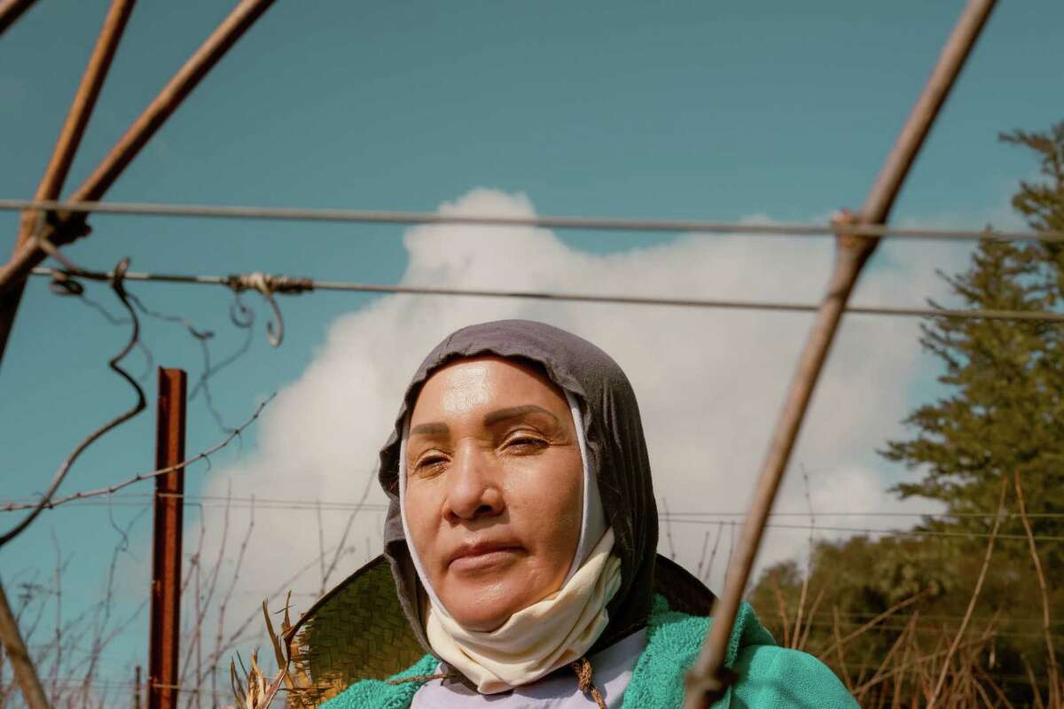 Wendling Vineyard in Anderson Valley has a rare, allfemale crew