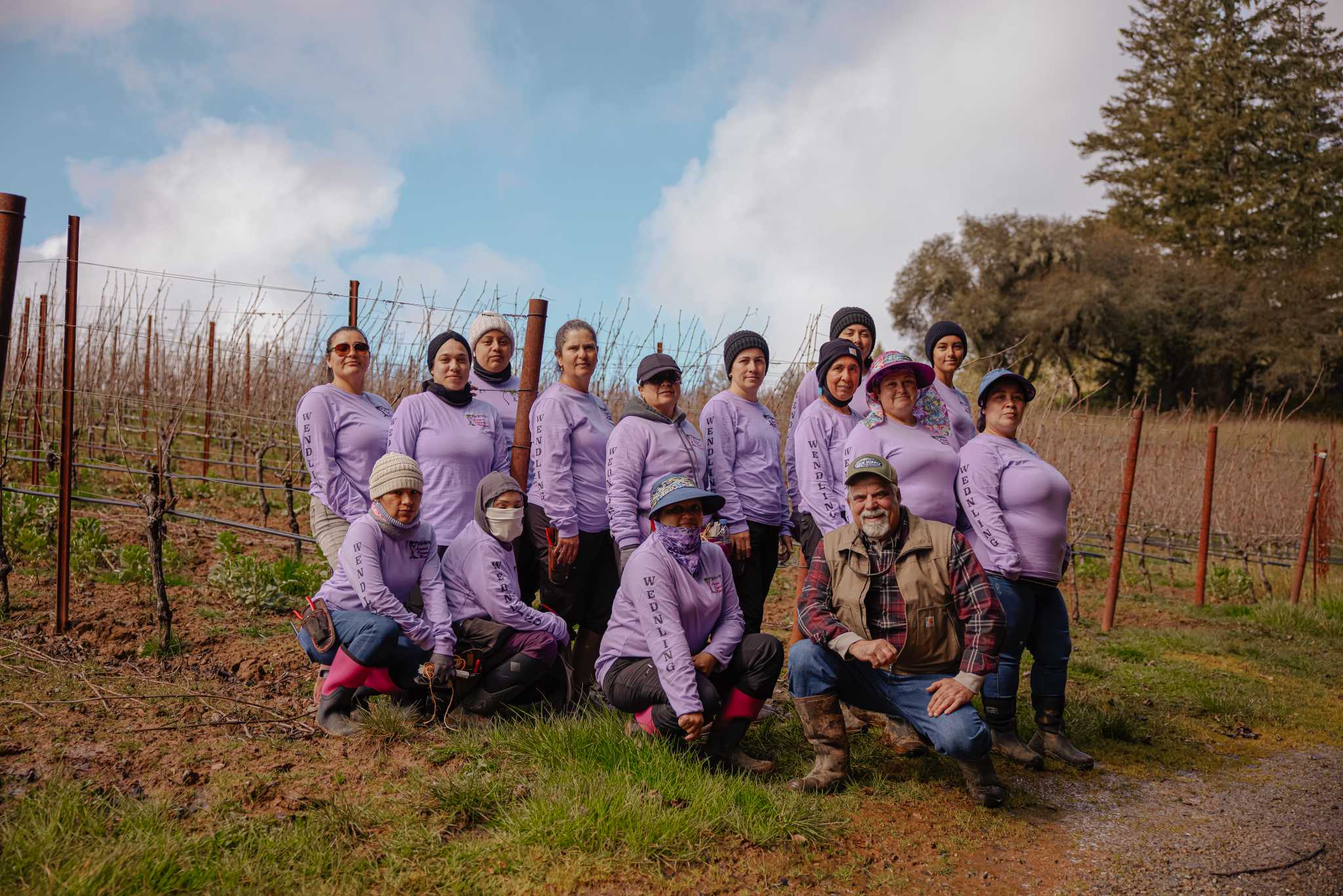 Wendling Vineyard in Anderson Valley has a rare, all-female crew - Vimarsana News