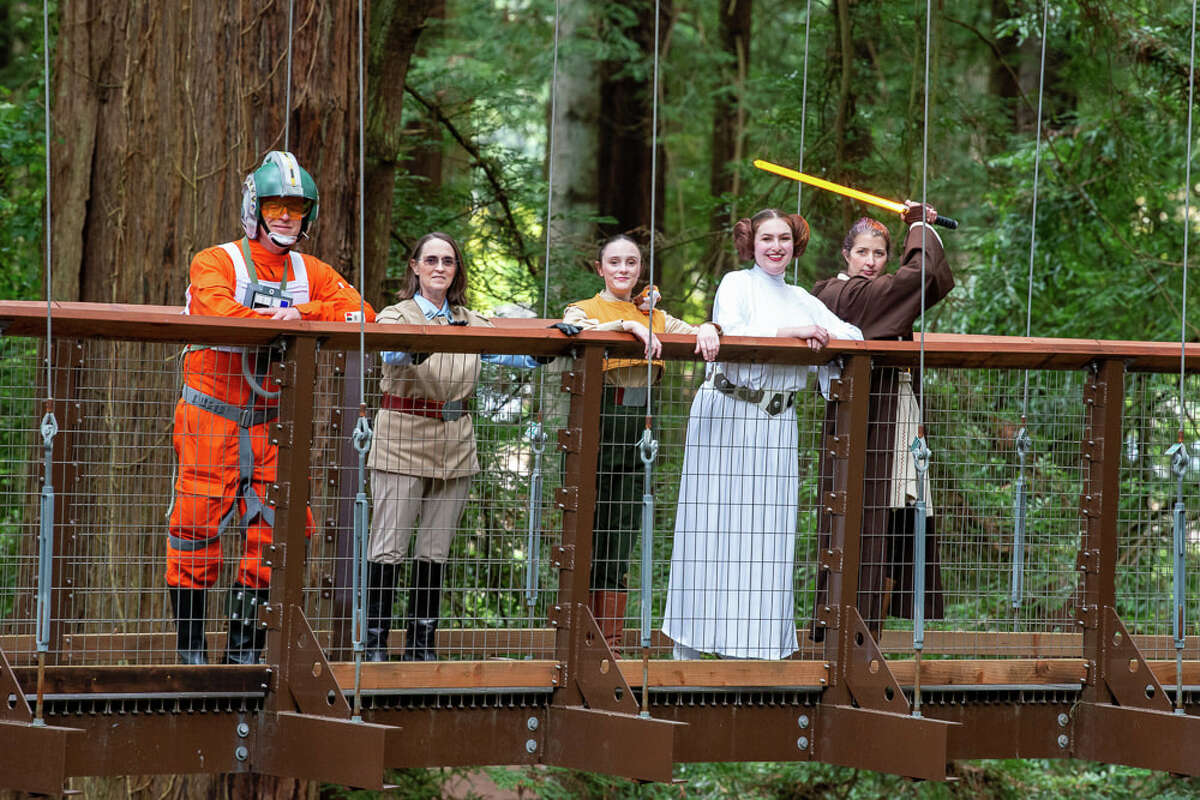 Star Wars' fest announced in NorCal forest near 'Endor' location