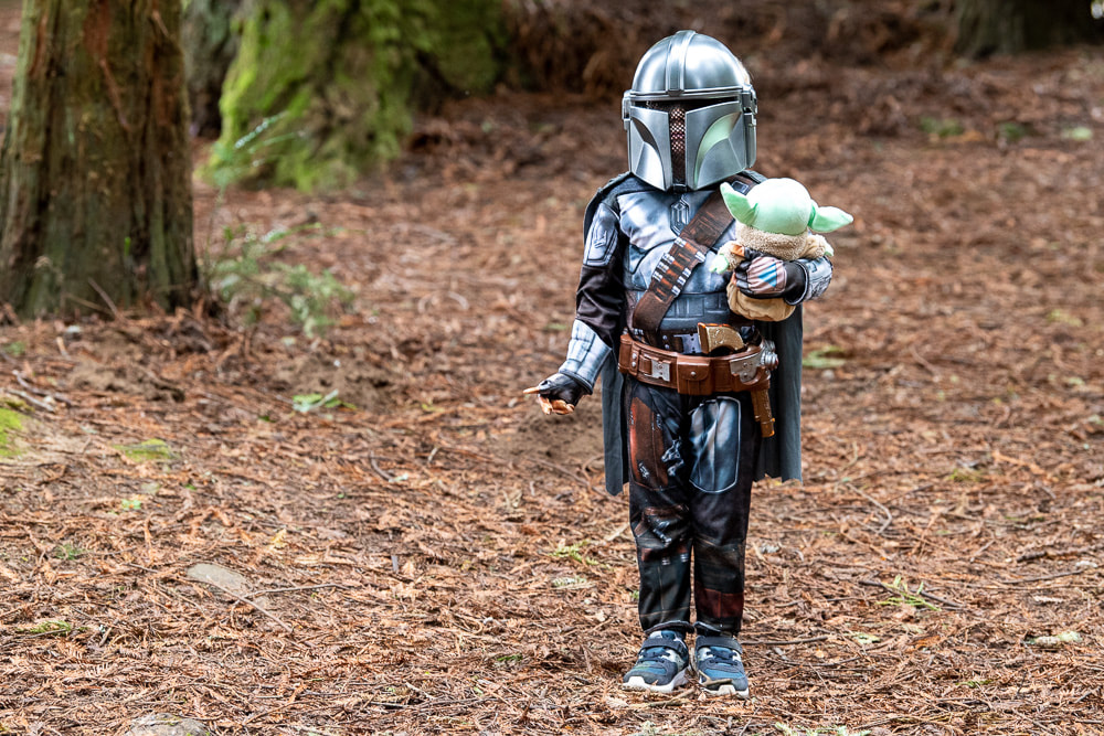 &lsquo;Star Wars&rsquo; festival announced in Northern California Ewok forest