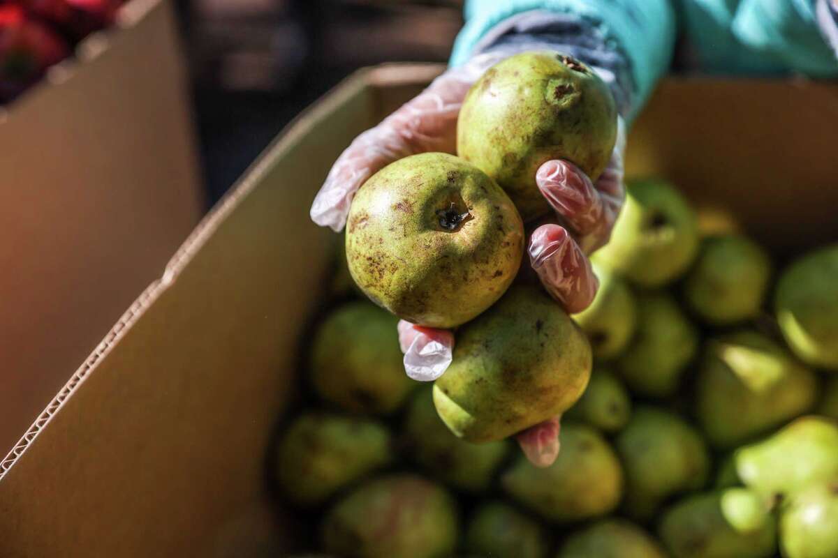 Is an S.F. food bank being used as a wedge to reopen JFK Drive?