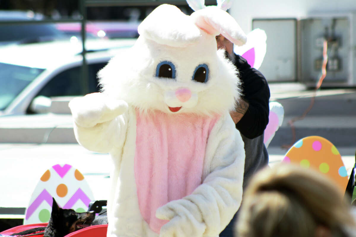 Photos: Dogs Hunt For Easter Goodies At Paws In The Park