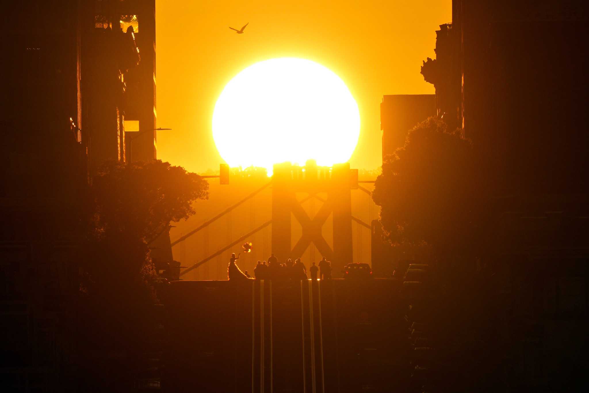 Photographers Flock To S F Street For Weekend Of Epic Sunrises