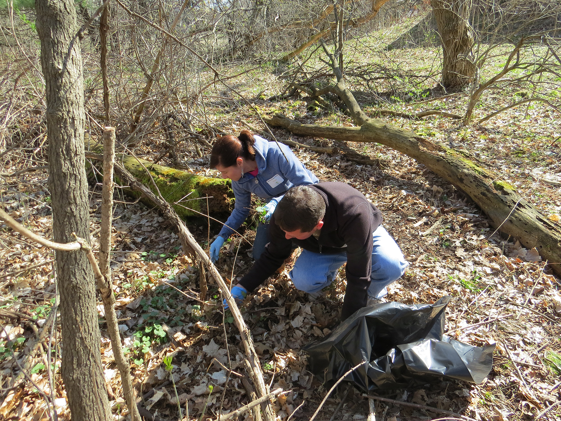 Chippewa Nature Center to host Earth Day celebration on April 22