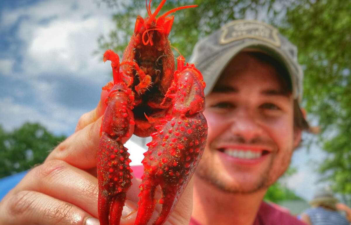 Tomball's Rails & Tails Mudbug Festival.