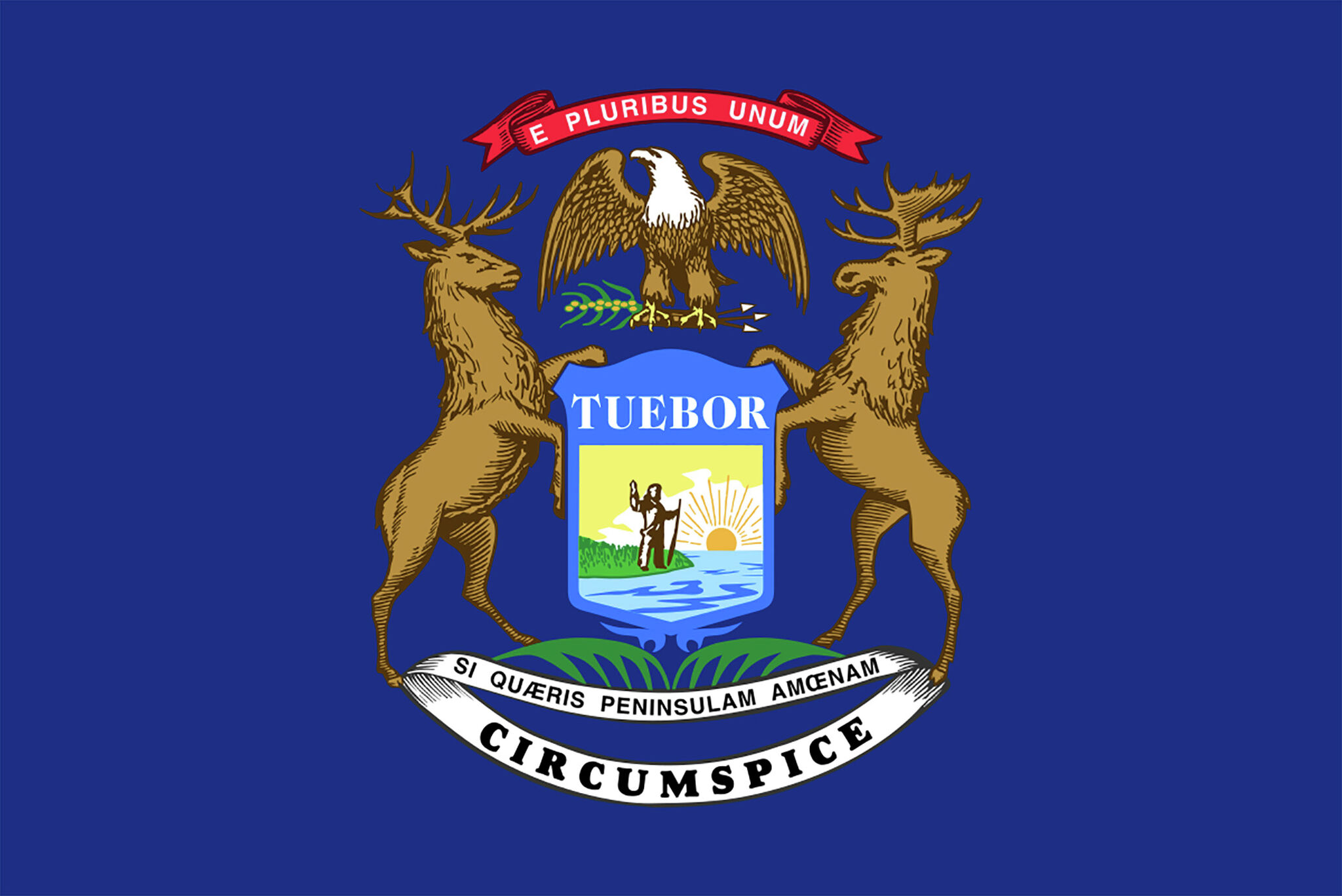 Michigan lawmaker wants to replace state flag - Vimarsana News