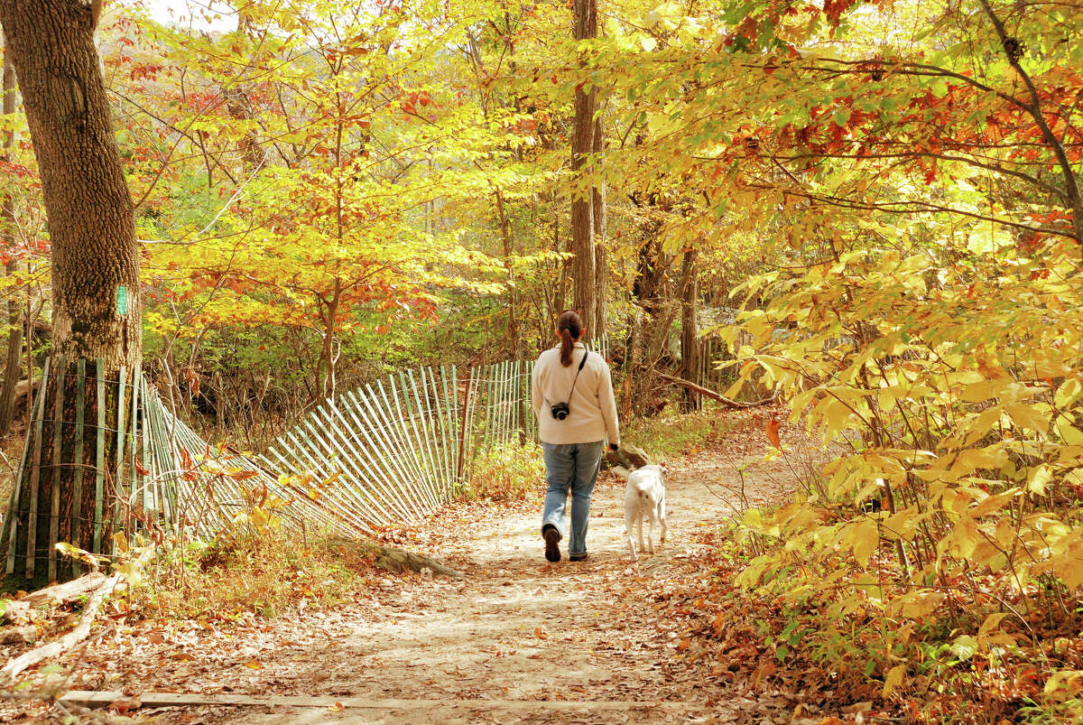 A woman walks her dog on a wooded path at Great Falls National Park in Northern Virginia.