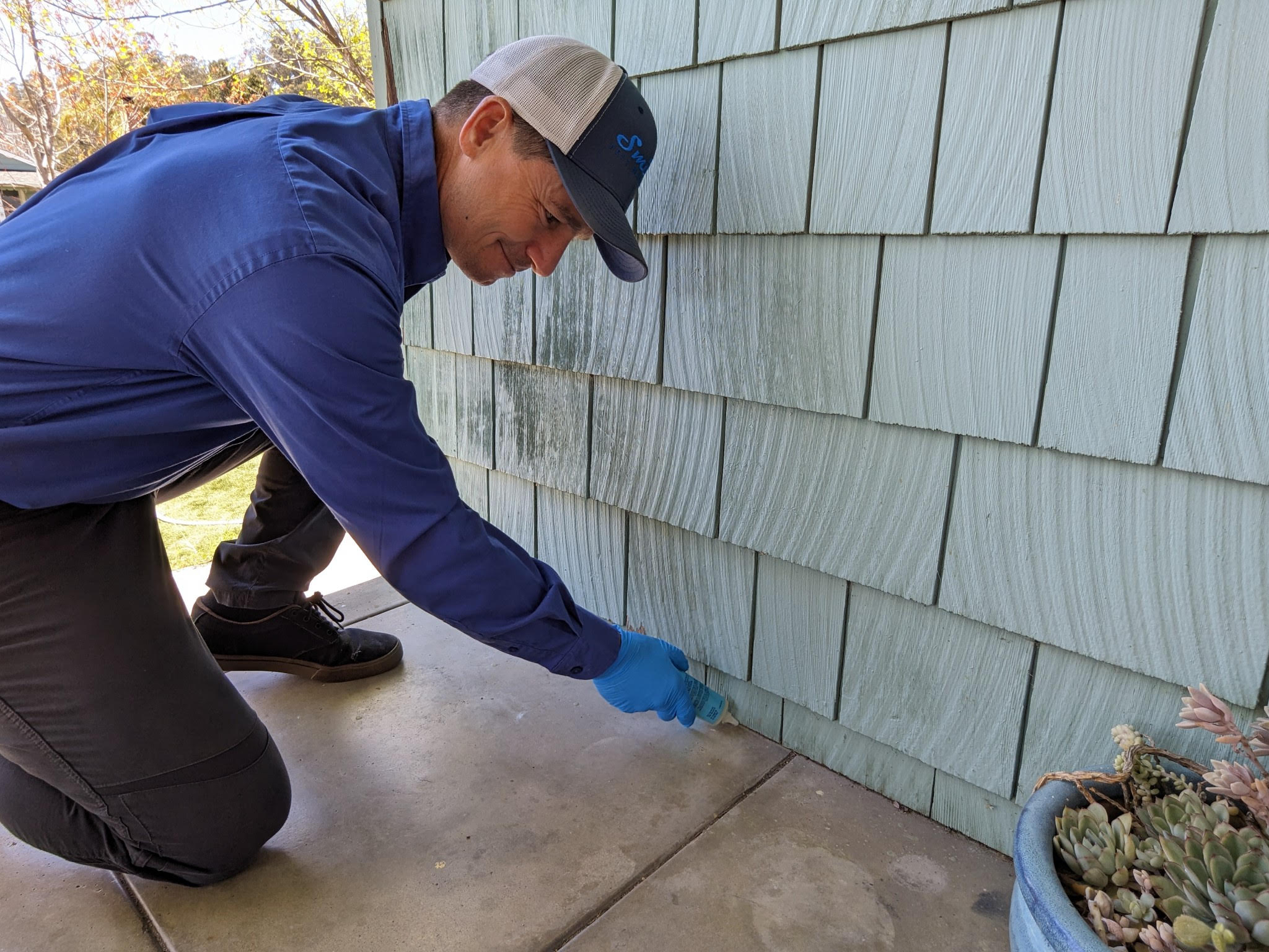 Ants invading Bay Area homes after epic storms. Here's what to do