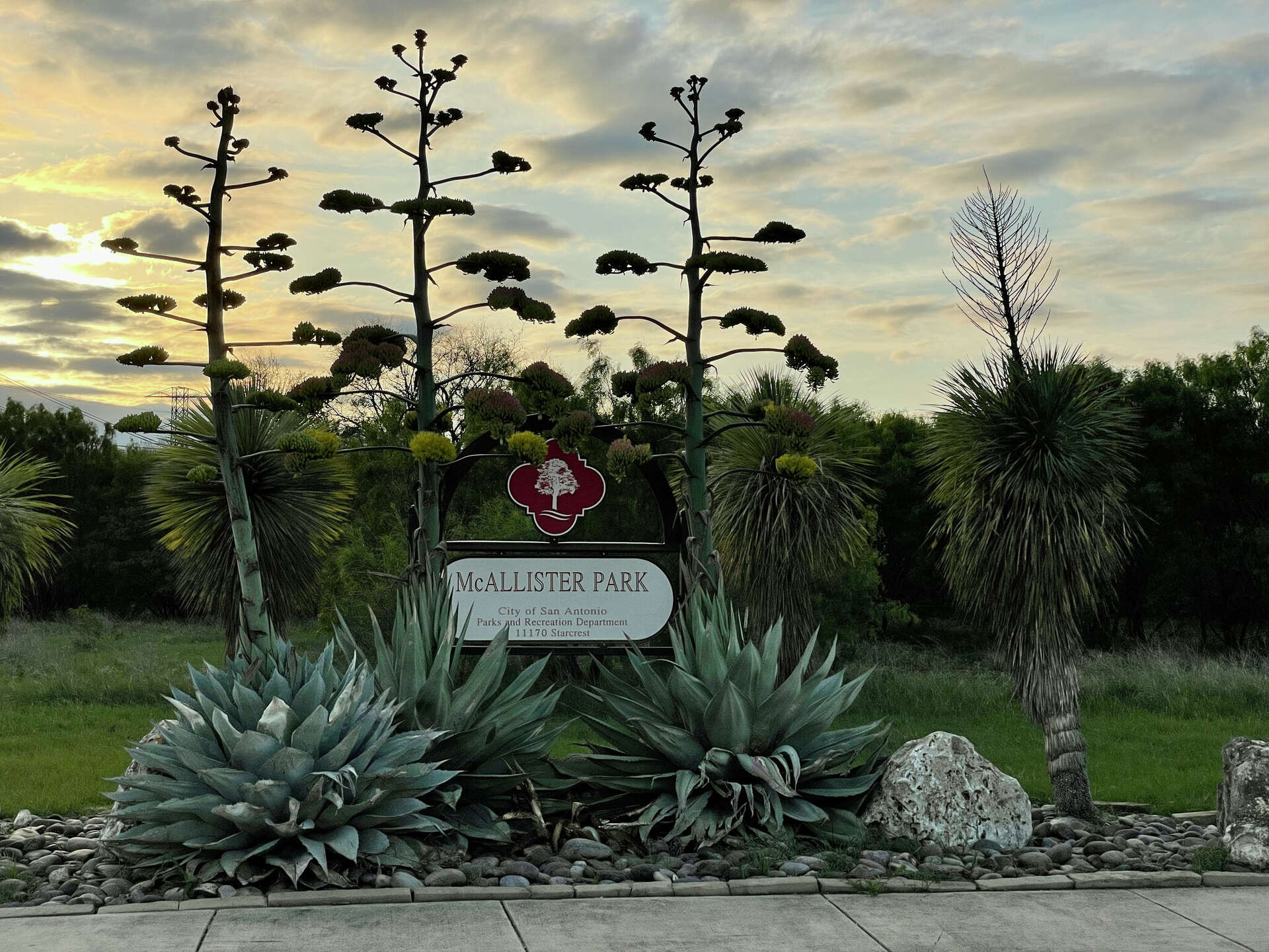 McAllister Park