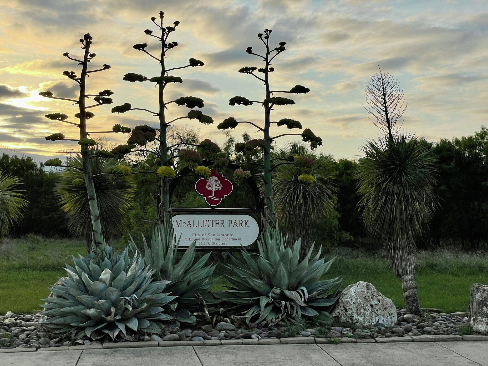 McAllister Park Everything to know about this urban oasis