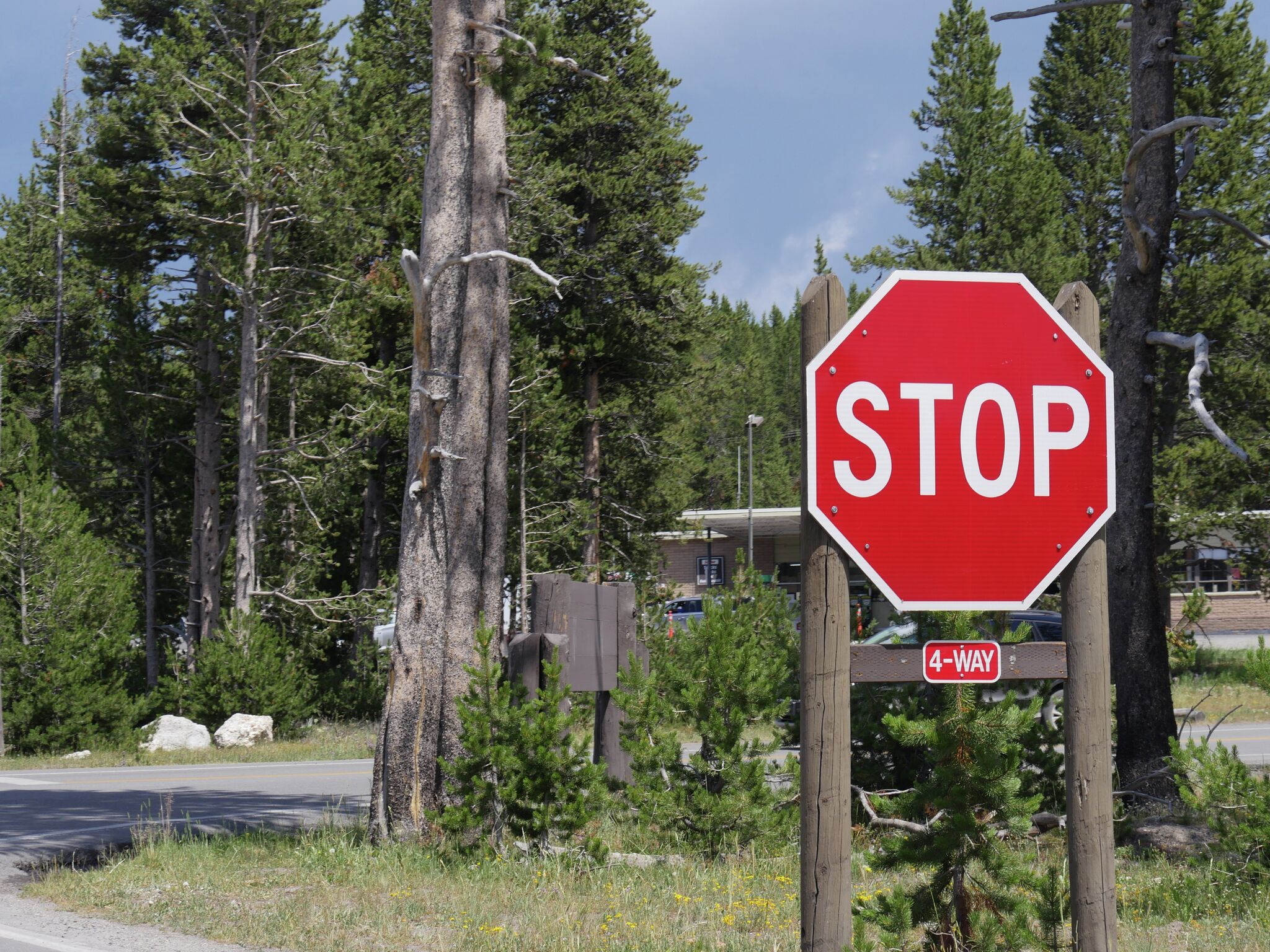 Council to look at four-way stop near Illinois College campus - Vimarsana News