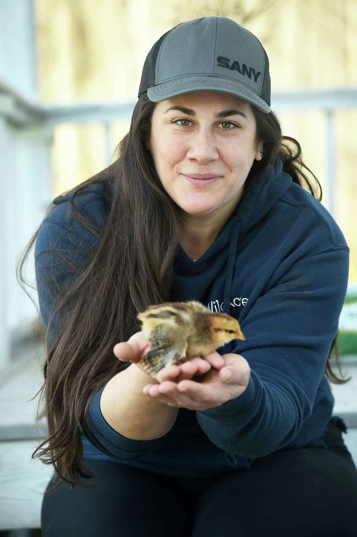 CT residents flock to backyard chickens for more sustainable eggs