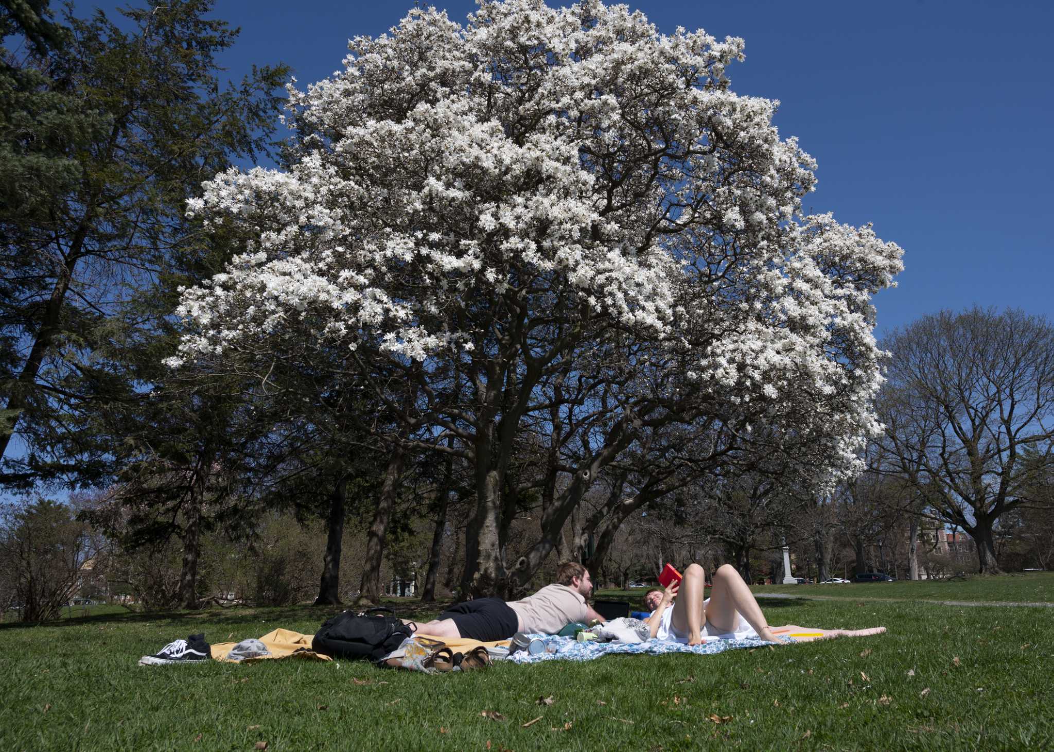 Albany area could see record-setting temps Thursday - Vimarsana News