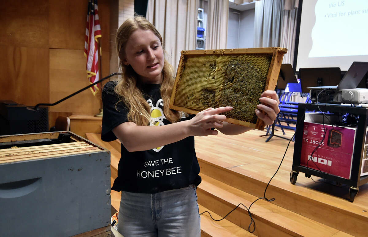 In Photos: Stamford's Westhill High bee club talks bees at Hart