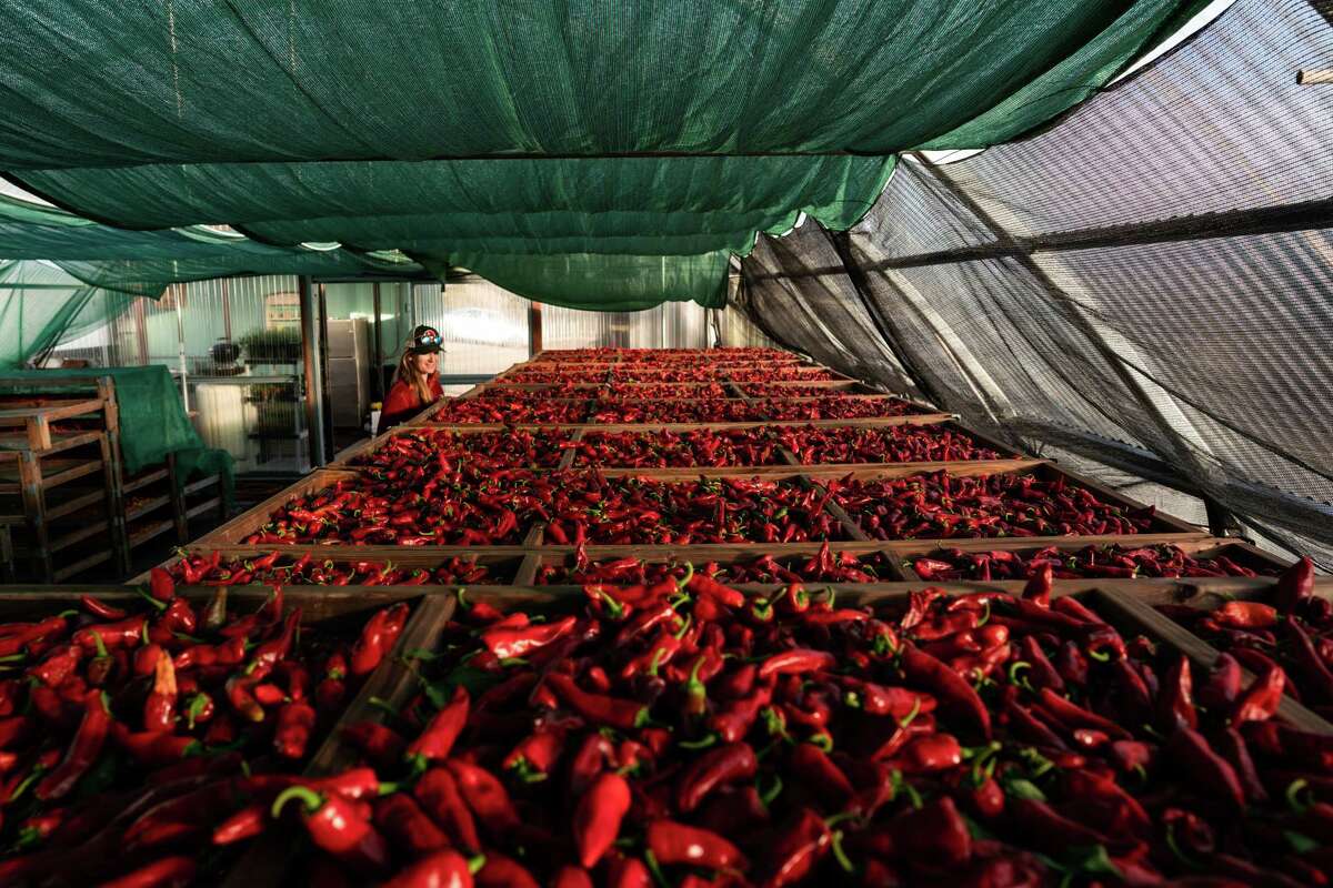 Boonville Barn Collective is on a quest to make California Espelette